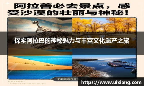 DB旗舰app